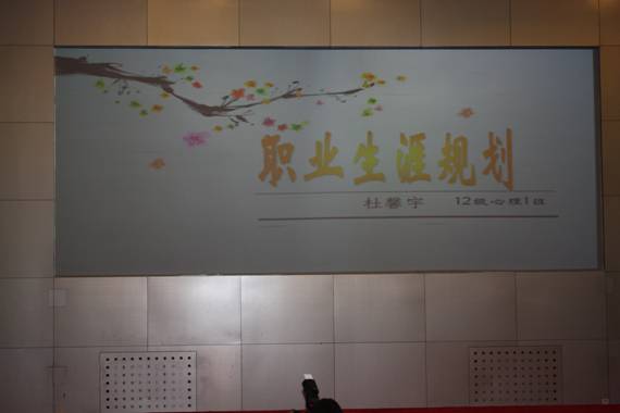 职业生涯规划大赛