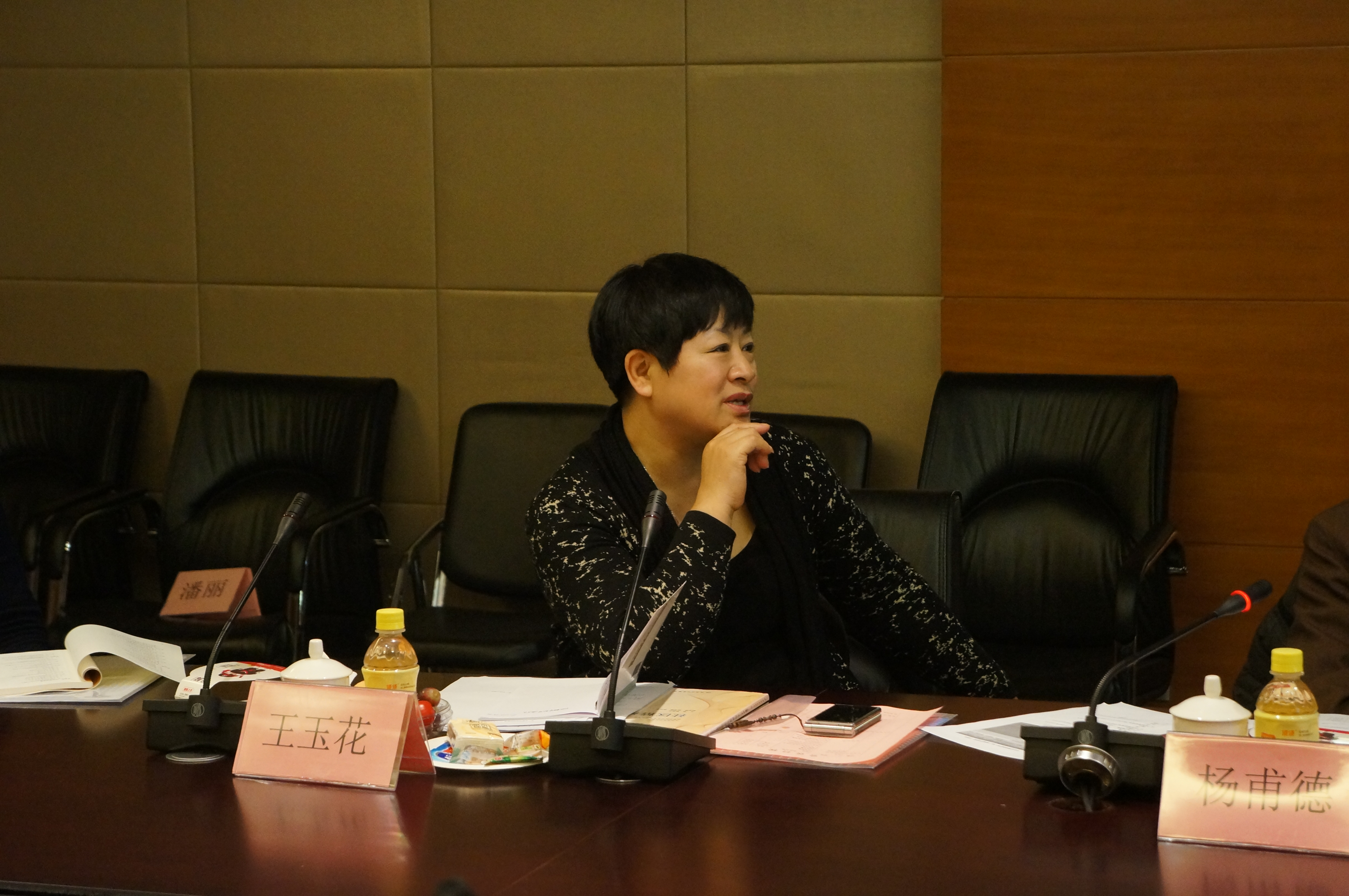 我院教师参加全国高等学校精神医学专业第二轮规划教材编写会